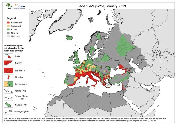 Aedes albopictus mosquitoes in Europe