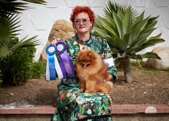  Janita Januškauskaitė-Plungė ir Pomeranijos špicas Tauro Kėkštas „Santa Barbara Kennel Club Dog Show“ parodoje