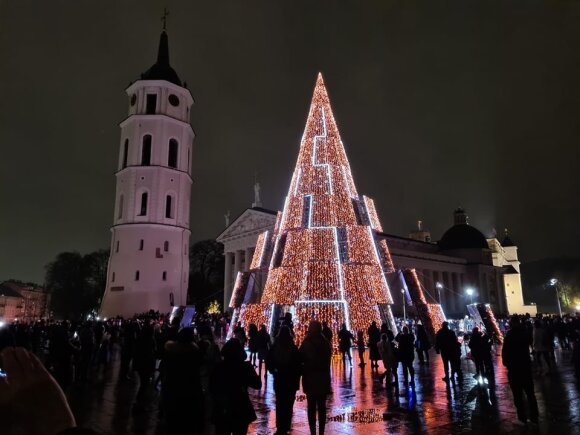 Vilnius Christmas tree lit.