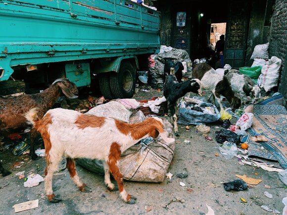 The other side of Egypt that is not seen by tourists: an extremely closed community that lives in garbage from birth