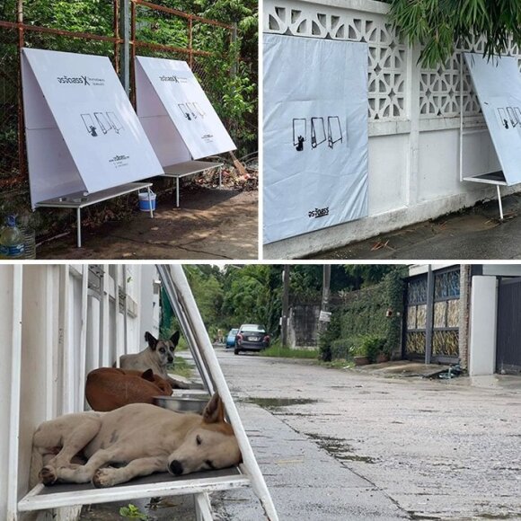 Tailande gyvūnų gelbėtojai įrengė sulankstomas pastoges benamiams šunims.