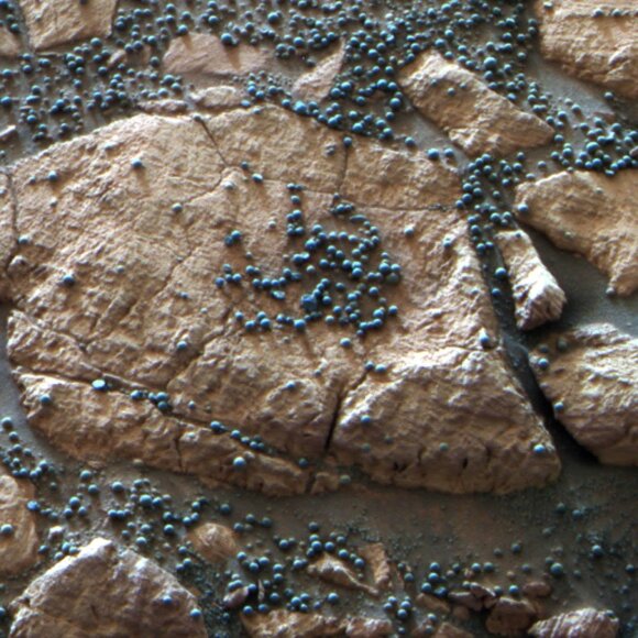 Ulike strukturer finnes på Mars som kan ligne på livsformene som finnes på jorden.