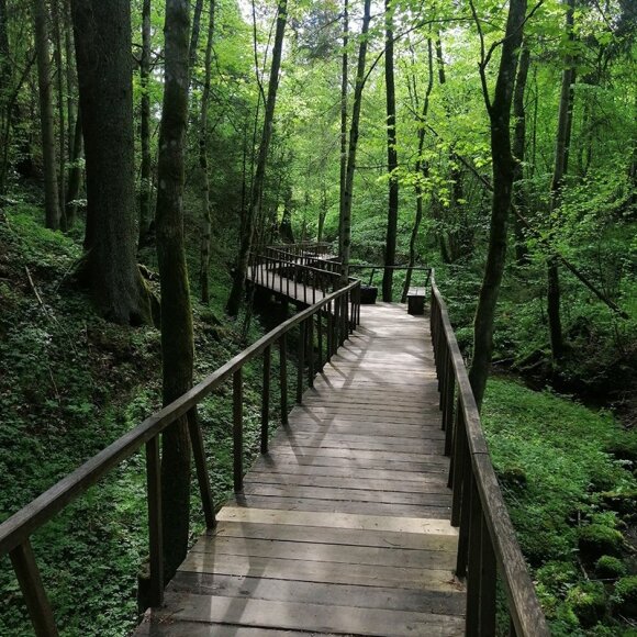 Solo travel in Lithuania is becoming increasingly popular: thousands of Lithuanians are ready to pay for a private nature walk.