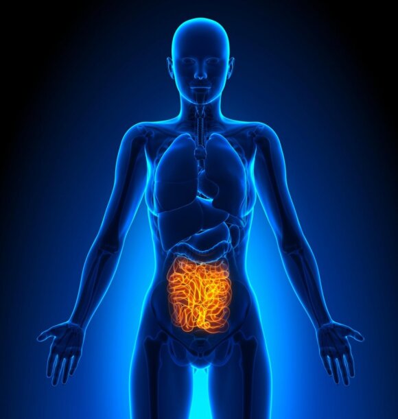 Colon cancer has no specific symptoms: it is recommended to look for