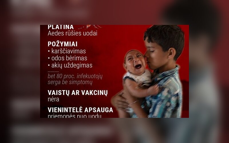 faktai