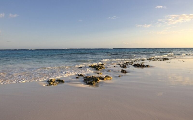 Bahamos