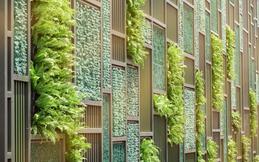 Žalieji pastatai