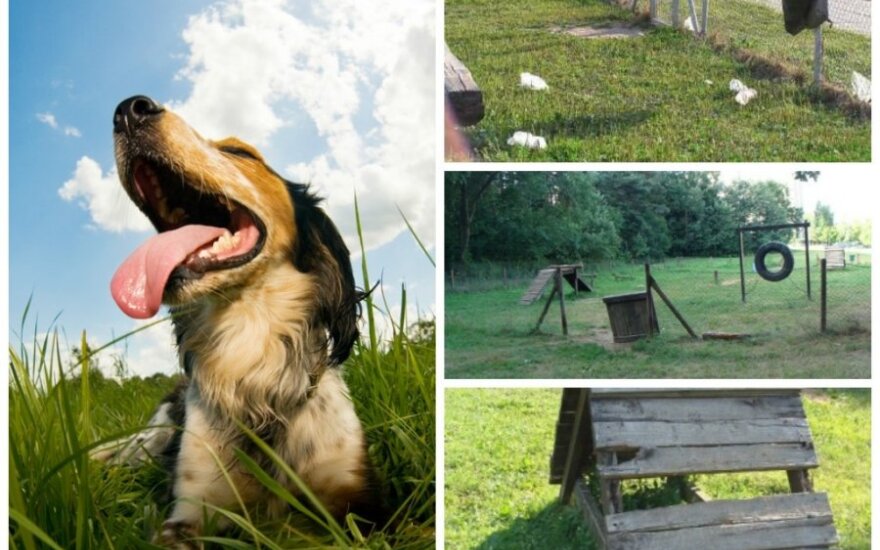 Už rinkliavą savivaldybės šunų šeimininkams pasiūlo nuskurusias aikšteles (LGTAO ir Shutterstock nuotr. montažas)