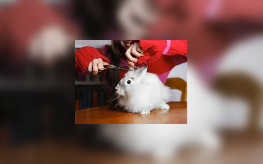 Laukia karingi ir agresyvūs metai