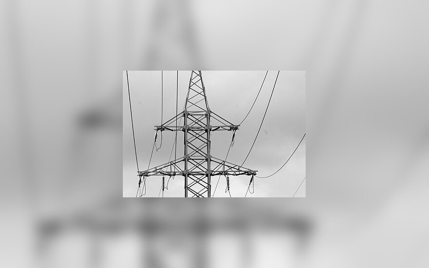 Lietuva tikisi, kad planuojama Europos energijos bendrija nepadalys Europos - Seimo vicepirmininkas