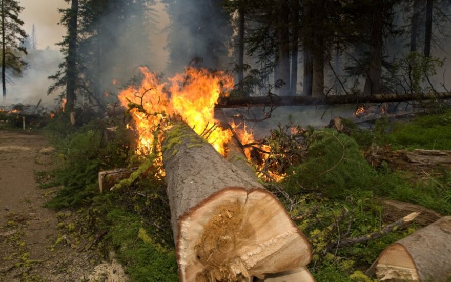 Kontroliuojamas miško gaisras Švedijoje
