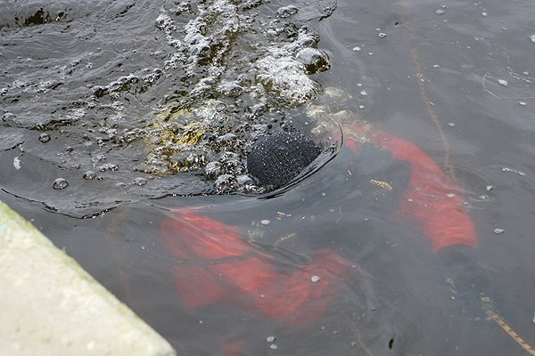 Tragedy in Šalčininkai district: 50th anniversary drowned and another participant celebrated