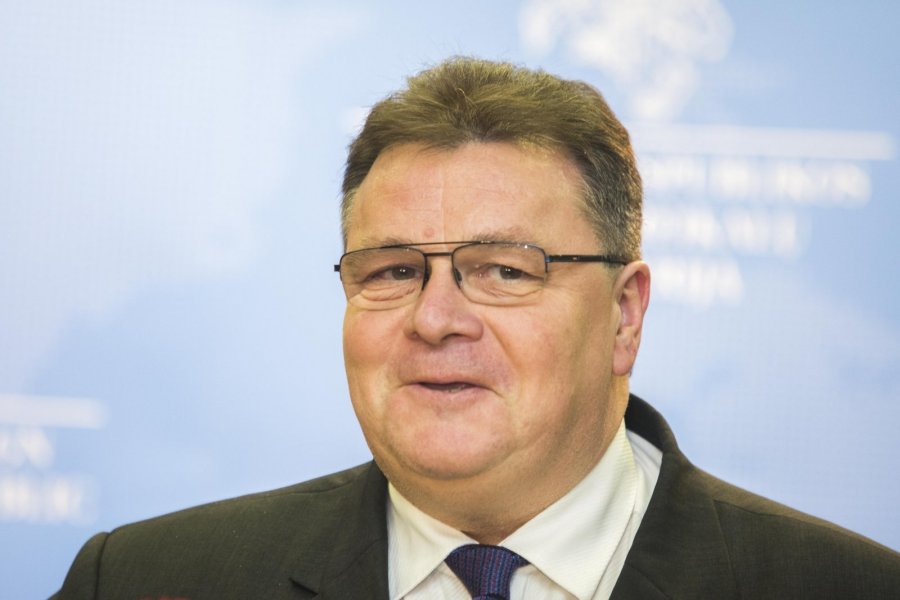 Linkevičius: 2016 will test European unity - EN.DELFI