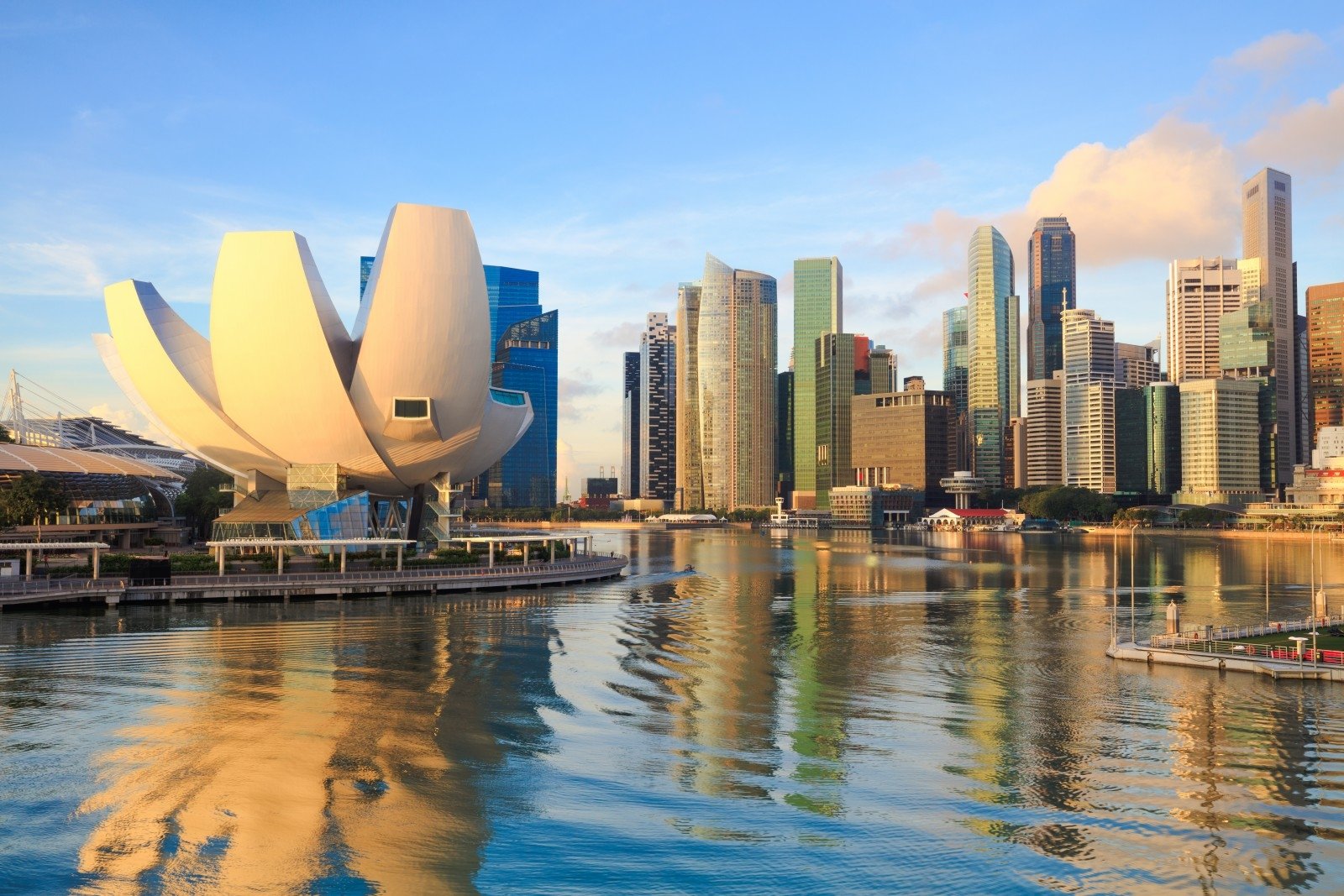 singapūro prekybos sistema pasinaudoti akcijų pasirinkimo sandoriais prieš ipo