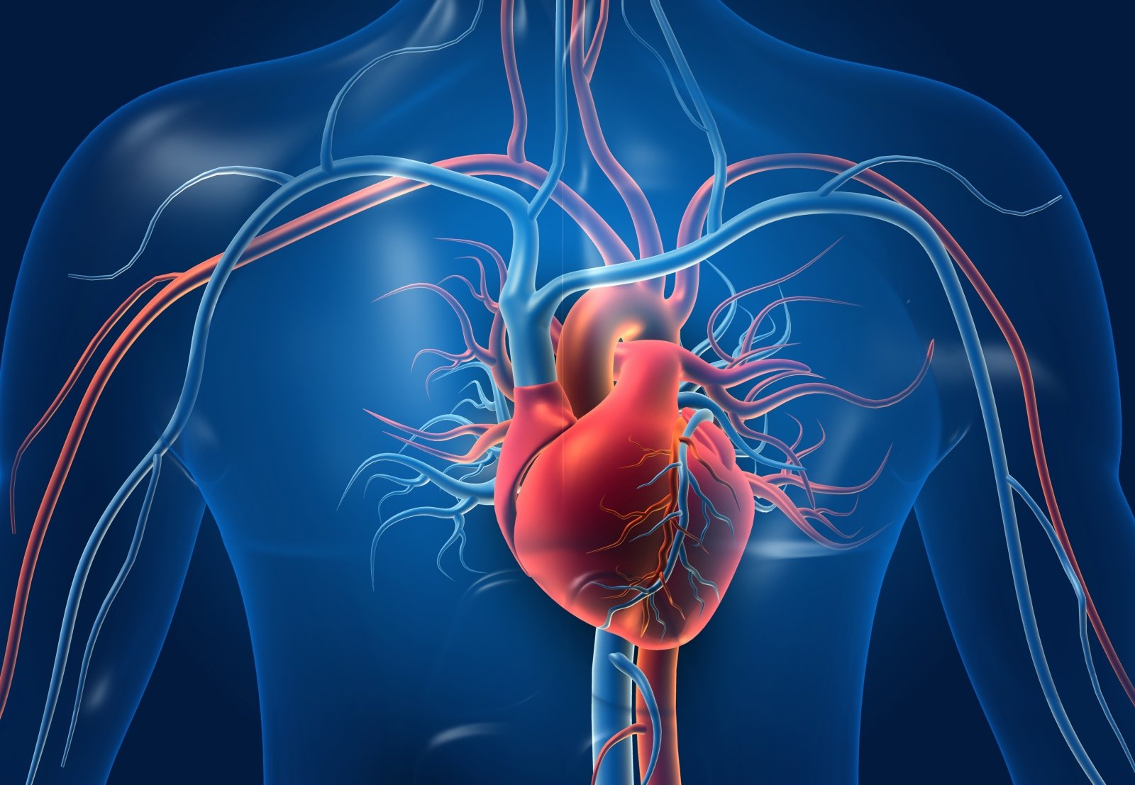 hipertenzija padidėjęs širdies ritmo gydymas kokia yra hipertenzijos rizika