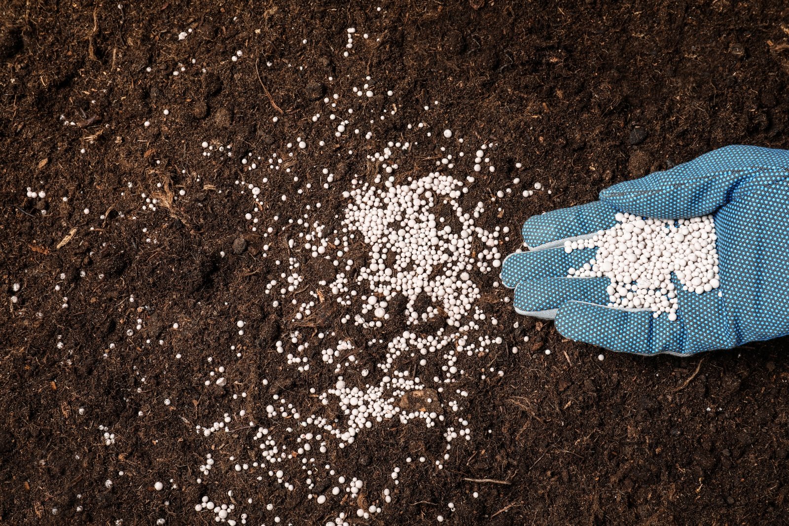 Напоминают золу почвы. Application of Fertilizers to the Soil. Субсидии за Минеральные удобрения картинки. Fertilizing. Cotton fertilizing.