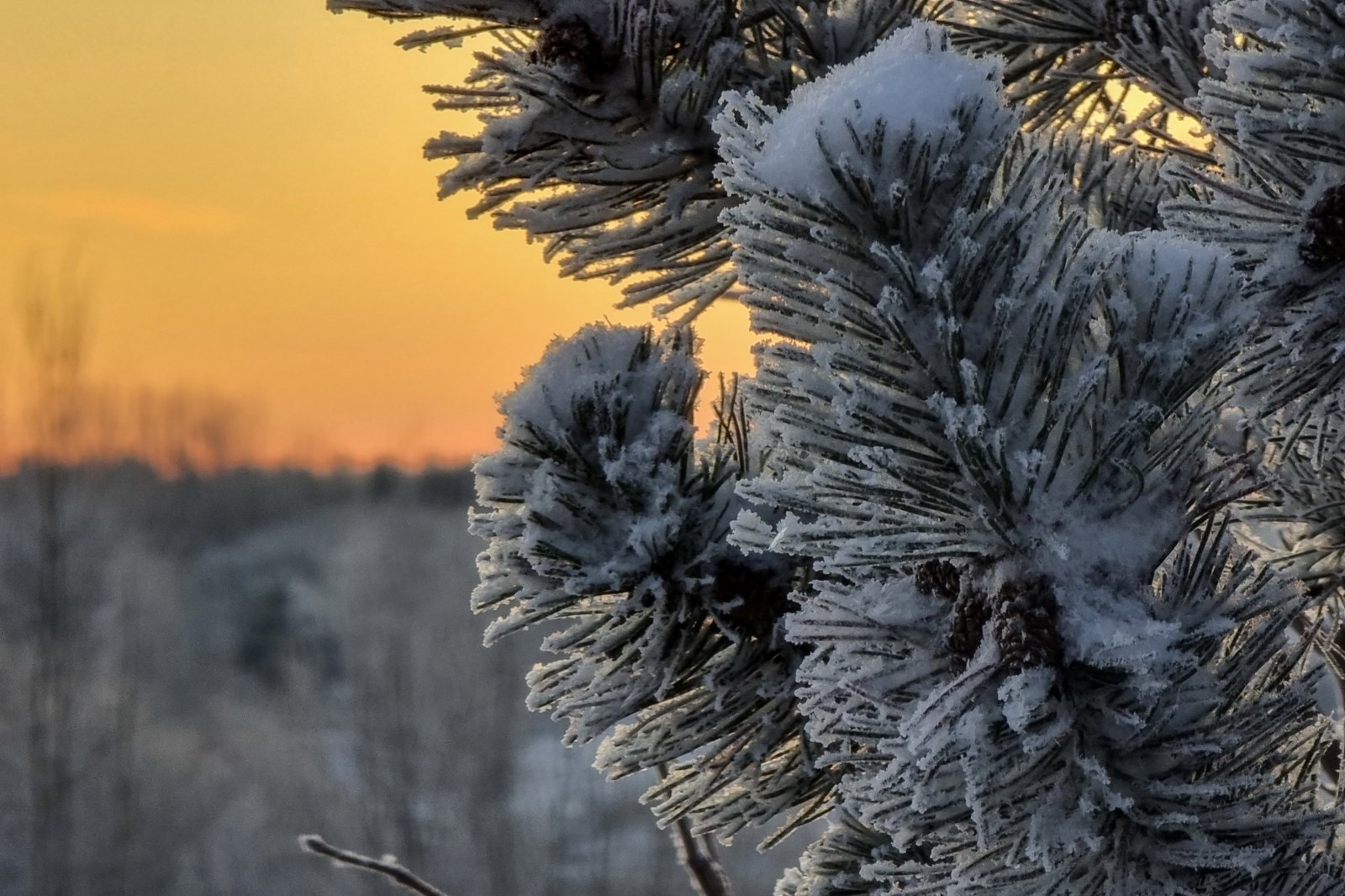 During Christmas, more severe cold will flow to Lithuania: there will be a lot of snow in some places